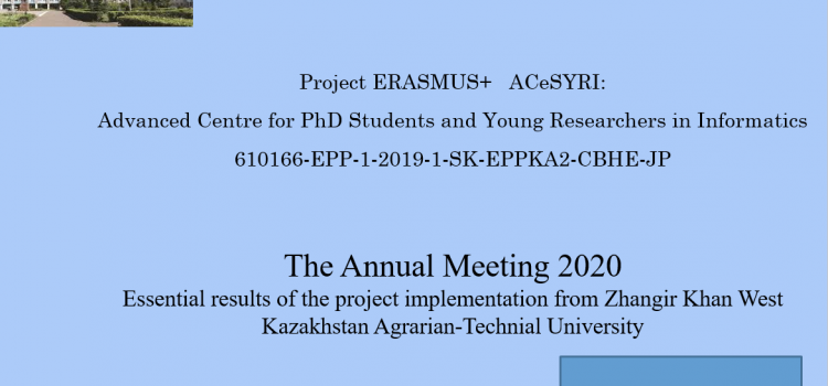 Annual meeting on ACeSYRI project